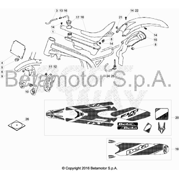 DECALCO PARAFANGO POSTERIORE