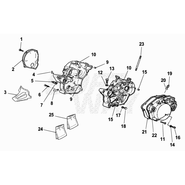 VITE T.E. M12X1,25 SCORR.MM (49.0922.0)