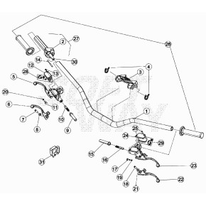 TRASMISSIONE ACCELLERATORE