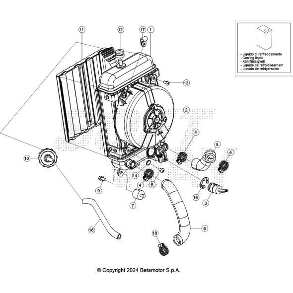 TUBO RADIATORE RED EVO 2T