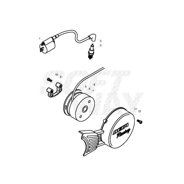 ROTORE X VOLANO EVO-2T FACTORY-007100210