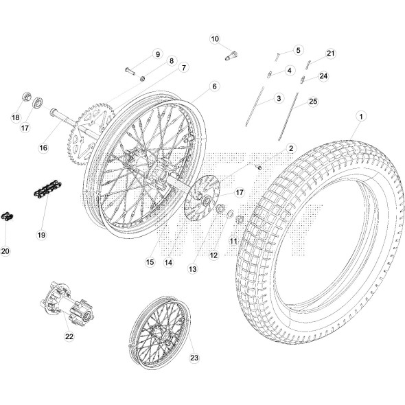 RUOTA POSTERIORE EVO 2T FACTORY