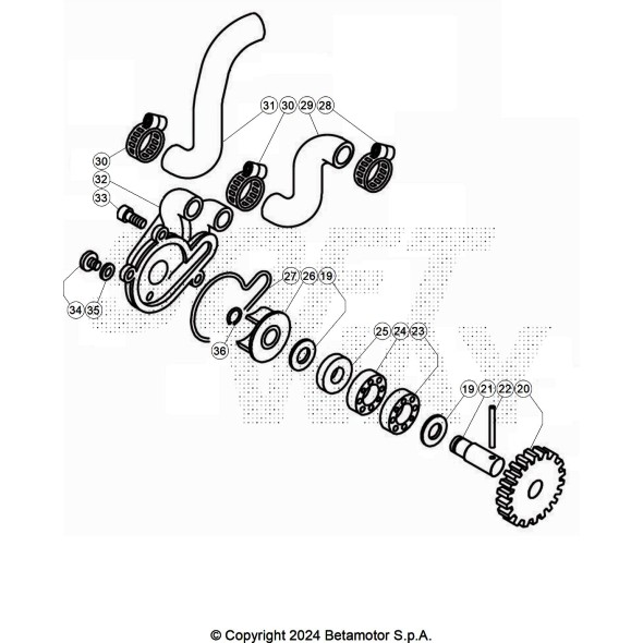 ALBERO PER POMPA ACQUA