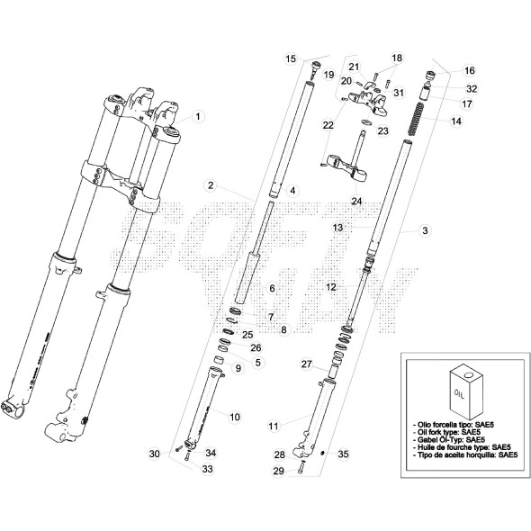 FORCELLA EVO 2T -200