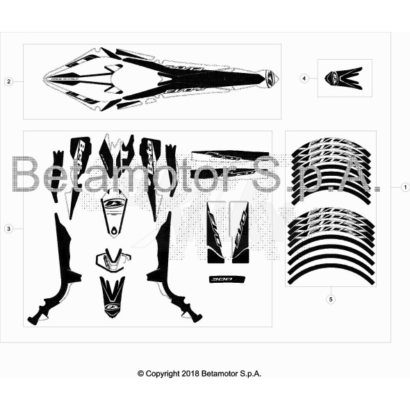 DECALCO CERCHI EVO SS