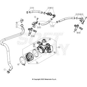 CORPO FARFALLATO -CMPL-