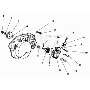 PERNO POMPA ACQUA C/GIRANTE (56.0008.0)