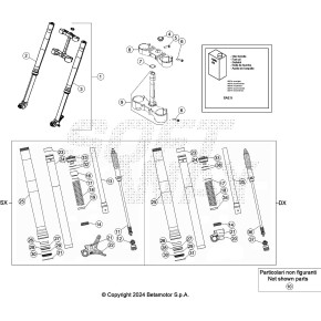 GAMBA FORCELLA SINISTRA RR 4T