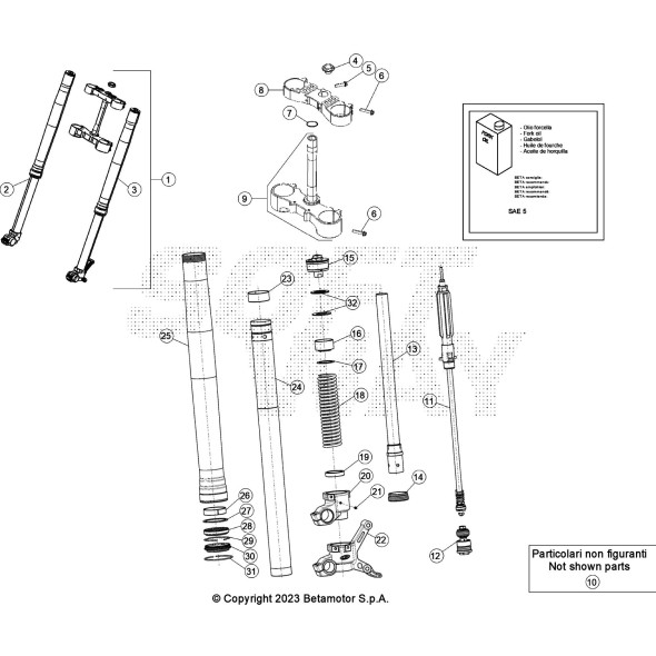 GAMBA FORCELLA DESTRA