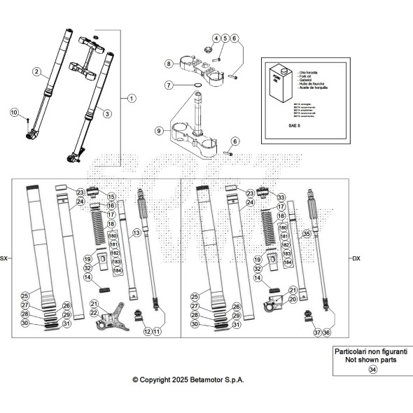 KIT MOLLA K 4,6 N/MM