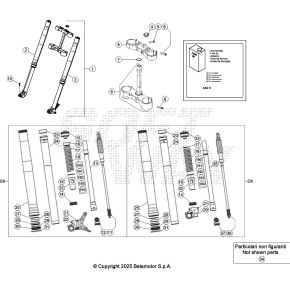 KIT MOLLA K 5,0 N/MM
