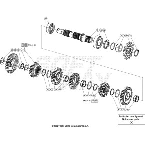 INGRANAGGIO 1° SECONDARIO