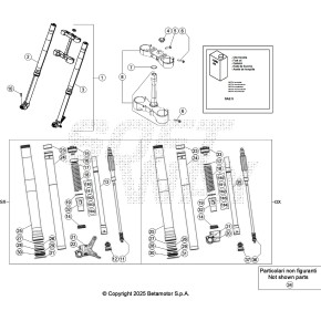 GAMBA FORCELLA SINISTRA RR 2T