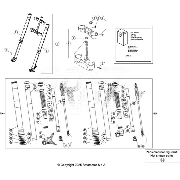GAMBA FORCELLA SINISTRA RR 2T