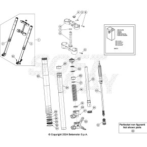 GAMBA FORCELLA SINISTRA