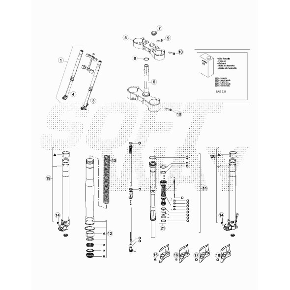 FORCELLA D.48 RR4T RACING COMPLETA