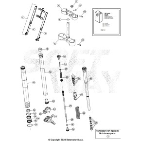 TESTATA FORCELLA D.48 RR 2T