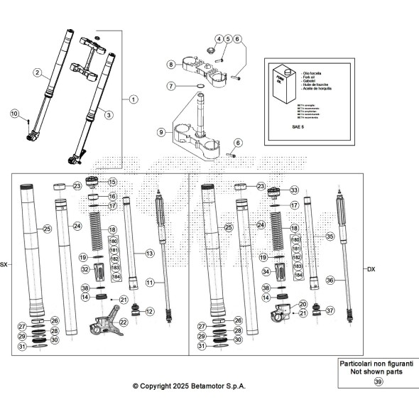 FORCELLA COMPLETA RR 2T