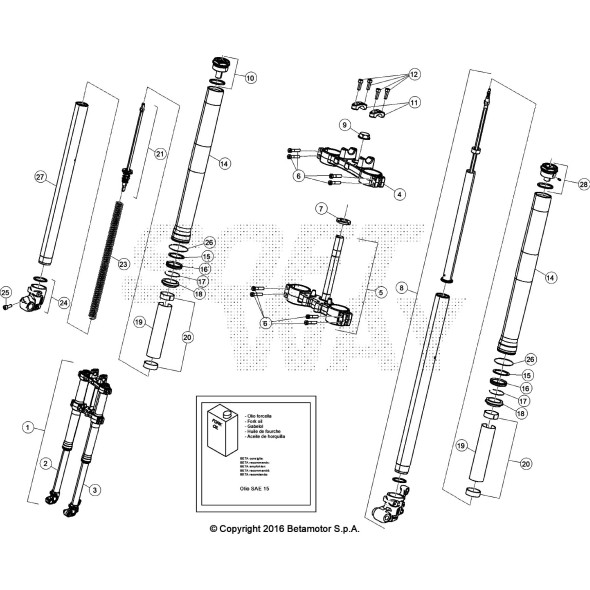 FORCELLA COMPLETA D41 RR 2T RACING