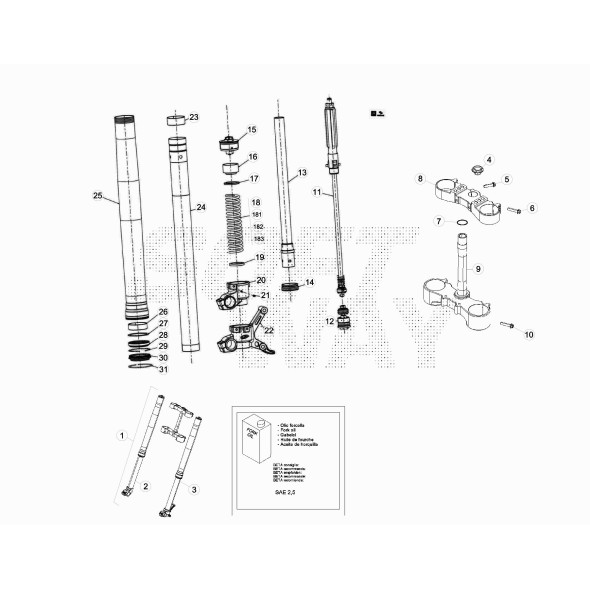 KIT MOLLA K 5,0 N/MM